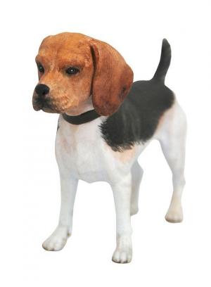 John Wick's Beagle