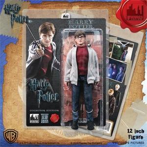 Harry Potter 12" Figure Box Art