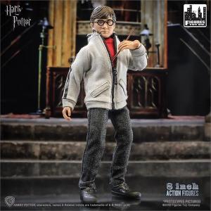 Harry Potter 8" Figure Posed